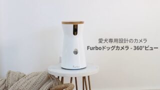 留守番に最適｜Furboドッグカメラ360°ビューの魅力と使い方